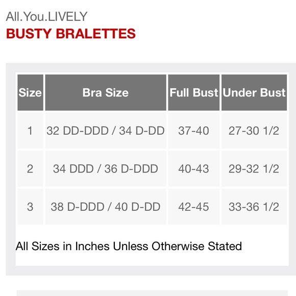 All.You. LIVELY Women's Busty Mesh Trim Bralette Terracotta Size 1 32-34 D-DDD - Picture 4 of 4